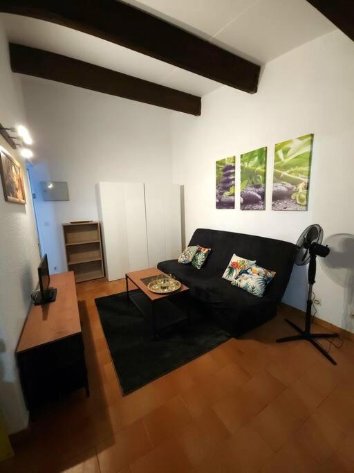 A 8 Mn A Pied Des Plages Appartement Avec Piscine Et Tennis Argelès-sur-Mer Zewnętrze zdjęcie